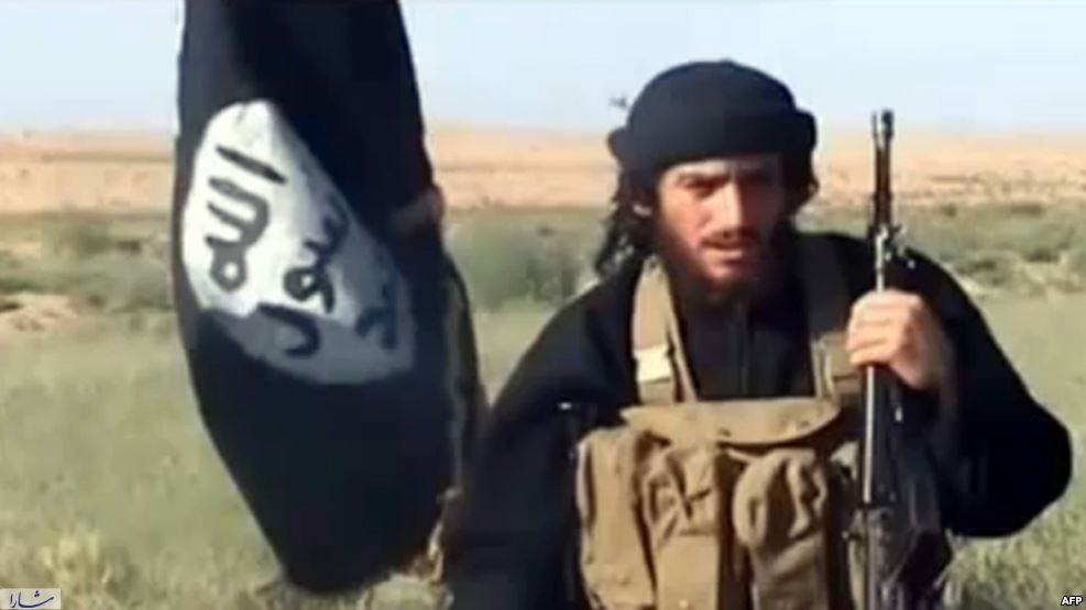 سخنگوی دستگاه تبلیغاتی داعش کشته شد
