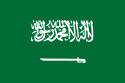 اقدامات روابط عمومی آل سعود در سالی که گذشت