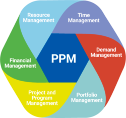 فرآیند PPM برای رشد شرکت