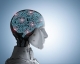 ساخت هوش مصنوعی با سلول‌های مغز انسان