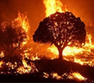 مدیریت و کاهش تأثیرات آتش سوزی‌های گسترده؛ نقش مهم روابط‌عمومی‌‌