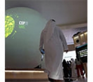 نگرانی امارات متحده عربی برای بهبود تصویر عمومی خود در زمینه حقوق بشر و تغییرات آب و هوایی 