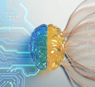 اولین ابر رایانه در مقیاس مغز انسان