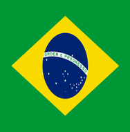 نمره برزیل در سال 2014 