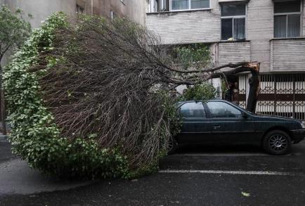 طوفان با سرعت 120 کیلومتر تهران را در نوردید / 5 تن کشته و 44 نفر مصدوم شدند